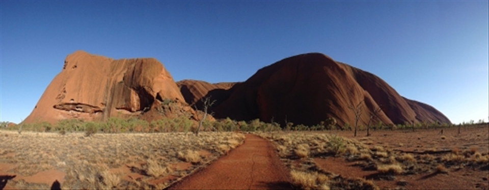 ULURU roaming the desert, panoramic