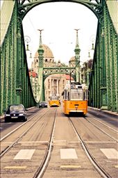 The old and the new - Liberty Bridge: by natmaimoni, Views[301]