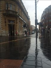 Rain in Leicester: by natural, Views[292]