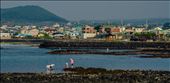 Korean families still look to the sea for daily food on Jeju Island, Korea.: by navogel, Views[353]