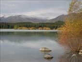 Lake TeKapo: by nayatselepi, Views[231]