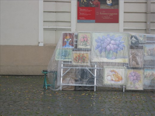 Black and white cat in the street picture looks like mine - maybe it's he? :)