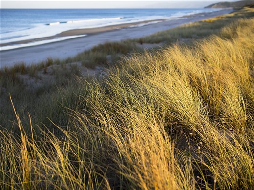 Light captures the glow of the dunes grasses as it disappears for another day.