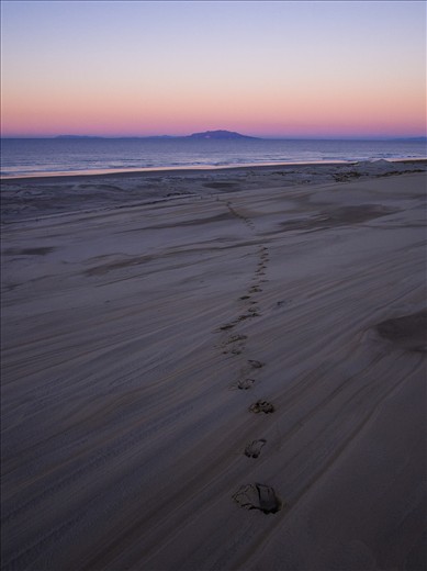 Lonely footsteps lead away from the beach after a long day in the sun.