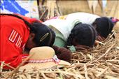 The women of Santa Maria receiving a blessing from a local shaman. Spirituality is an extremely important part of life on Uros and it is infused with native customs and traditions.: by nedal, Views[455]