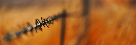 Fence along the path where my sister and I took one last walk together.
