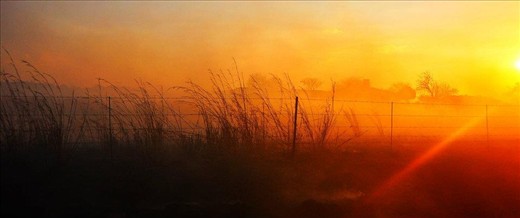 A smoky field on the farm we visited after the wedding.