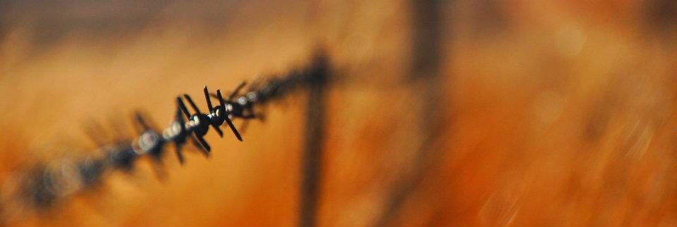 Fence along the path where my sister and I took one last walk together.