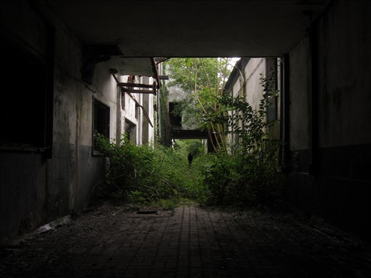 These urban voids, apparently forgotten, are increasingly quested as alternative spaces to the active zones of the metropolis. These areas are often explored by curious people who experience the awkwardness of these places, venturing not only in the inhabited buildings but also in the sense of freedom granted by its abandonment.