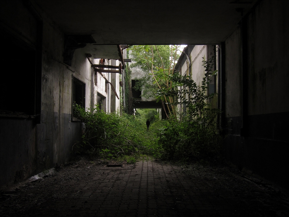 These urban voids, apparently forgotten, are increasingly quested as alternative spaces to the active zones of the metropolis. These areas are often explored by curious people who experience the awkwardness of these places, venturing not only in the inhabited buildings but also in the sense of freedom granted by its abandonment.