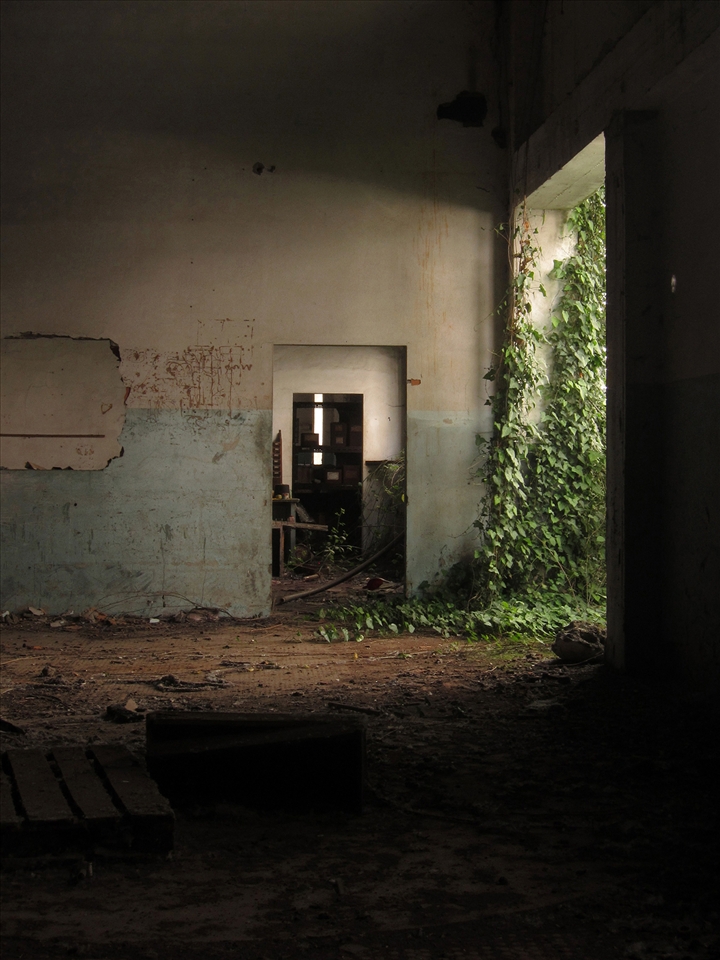 The factory is now progressively invaded by vegetation that tries to regain its place in the city. The flora occupies some of the spaces and colonizes the landscape, giving this scenery of ruin a dramatic effect.