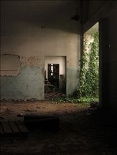 The factory is now progressively invaded by vegetation that tries to regain its place in the city. The flora occupies some of the spaces and colonizes the landscape, giving this scenery of ruin a dramatic effect.: by nelsonmiranda, Views[404]