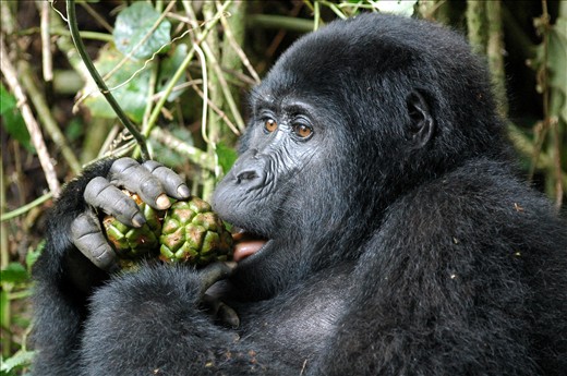 Eating something good!