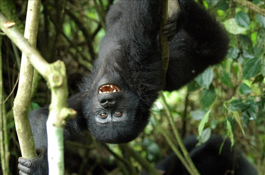 The baby showing off for us!