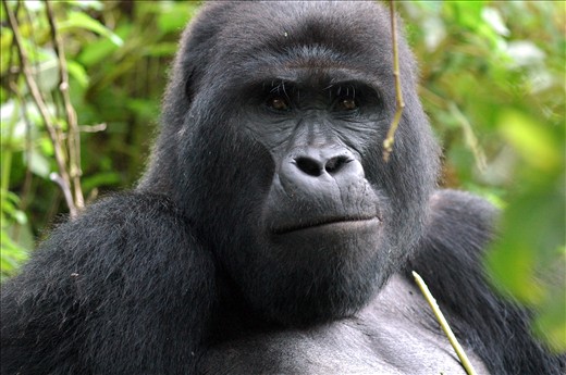 A whole new meaning to the phrase 