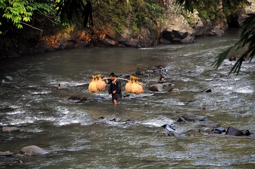Trading rice paddies for other provisions.