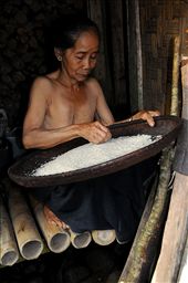 Granny sifting through rice before cooking.: by nerriza, Views[1044]