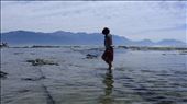 Kaikoura: by nesrin, Views[210]