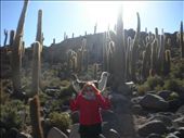 Two headed llama on Fish Island (full of cacti), Uyuni Salt Flats, Chile.: by ness, Views[532]