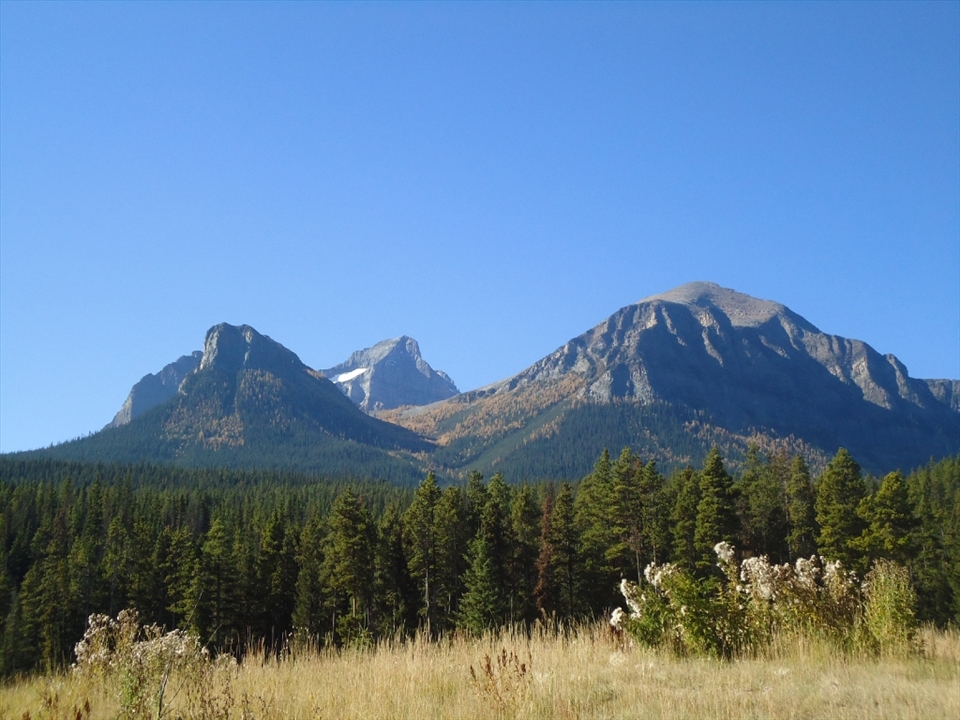 I´m not sure how many time i`ve done the Bow River Trail, however each time kept getting better