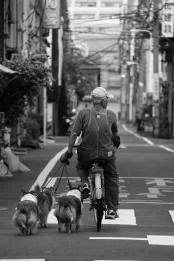 Tokyo. A time when prams were only used for children.