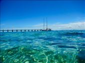 Crystal clear waters of Tivua Island: by nevertobeseenagain, Views[804]