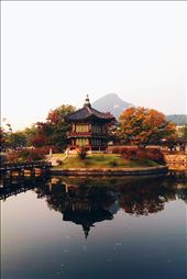 by newcomergourmet, Views[349]