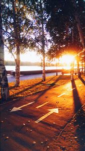 by newcomergourmet, Views[229]