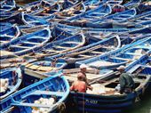 Fishermen discuss their catch in a mash of royal blue fishing boats.: by newlo, Views[368]