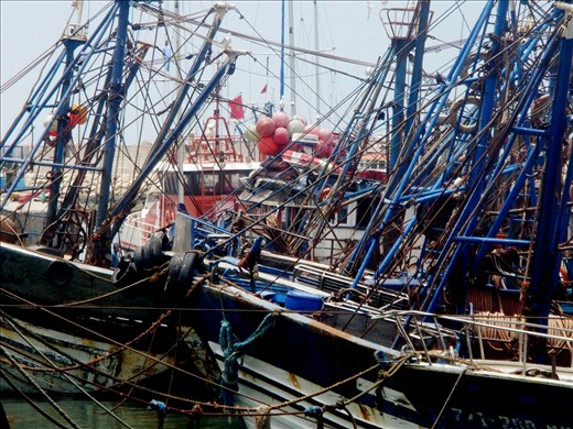 Trawlers at berth in the harbour preparing for the night.