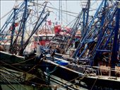 Trawlers at berth in the harbour preparing for the night.: by newlo, Views[328]