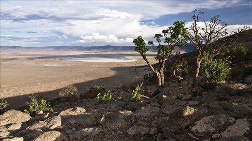 Landscape - Ngorongoro Crater