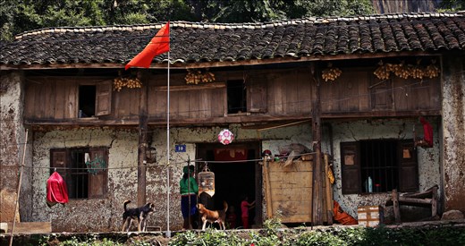 A family in Dong Van old quater
