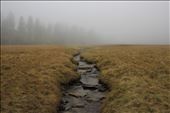 Mystical fog hovering over a mountain stream at an elevation of over 5,000 ft.: by nicholas_woelfel, Views[364]