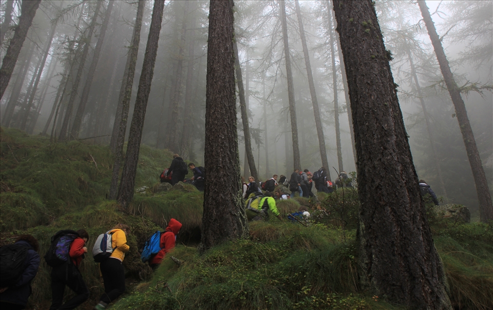 Students winding up the lower Alps of Gran Paradiso national park in Ceresole.