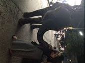 Meeting an elephant on the way home from the bar: by nicholebaldino, Views[255]
