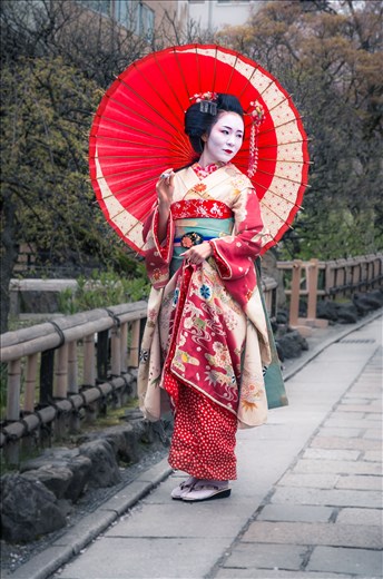 A geisha with the usual white make-up, elaborate kimono and perfect hair