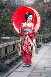 A geisha with the usual white make-up, elaborate kimono and perfect hair: by nickjackson, Views[910]
