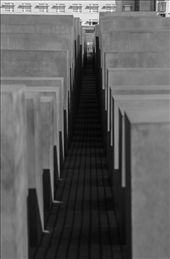 This is at the Holocaust memorial in Berlin. it contains numerous square stones that are meant to represent the headstones of those killed during the holocaust. if you enter the memorial you quickly become disoriented and confused. It seems to trap you inside and randomly spit you out.: by nickp, Views[699]