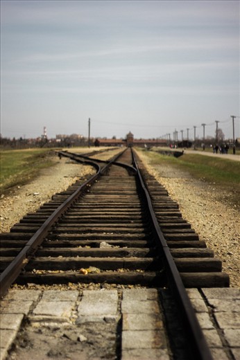 This pictures was taken in Auschwitz-Birkenau. This place was so incredibly vast, that you got a bit dizzy to think that so many people were murdered on the grounds. The tracks are so incredibly symbolic. The tracks gave the Nazi's access to murder so many innocent people. It led them to a road to nowhere.

Photography-wise, I like this photo because o fthe depth of field. The focus is mostly on the tracks and you don't really know where thew tracks go. The shadows in the tracks are dark which represents the unknown. I love that the sky is gray for it really sets the mood for the photo and makes it very grim.