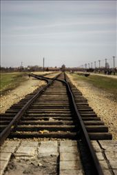 This pictures was taken in Auschwitz-Birkenau. This place was so incredibly vast, that you got a bit dizzy to think that so many people were murdered on the grounds. The tracks are so incredibly symbolic. The tracks gave the Nazi's access to murder so many innocent people. It led them to a road to nowhere.

Photography-wise, I like this photo because o fthe depth of field. The focus is mostly on the tracks and you don't really know where thew tracks go. The shadows in the tracks are dark which represents the unknown. I love that the sky is gray for it really sets the mood for the photo and makes it very grim.: by nickp, Views[1004]