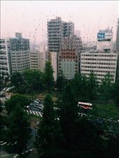 Rainy welcome from Hiroshima. 
Beautiful view of Peace Boulevard.: by nickyb, Views[177]