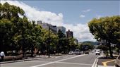 Peace Boulevard. : by nickyb, Views[199]