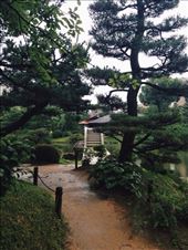 Shukkien love ❤️: by nickyb, Views[145]