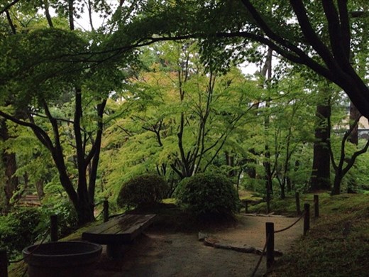 Beautiful emerald green 