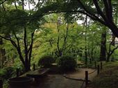Beautiful emerald green : by nickyb, Views[177]