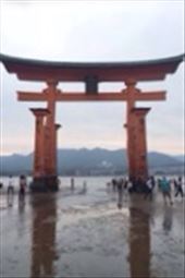 by nickyb, Views[197]