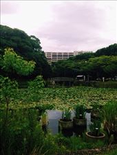 by nickyb, Views[141]