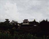 by nickyb, Views[169]