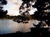 Sparkling water in Ōhori : by nickyb, Views[227]